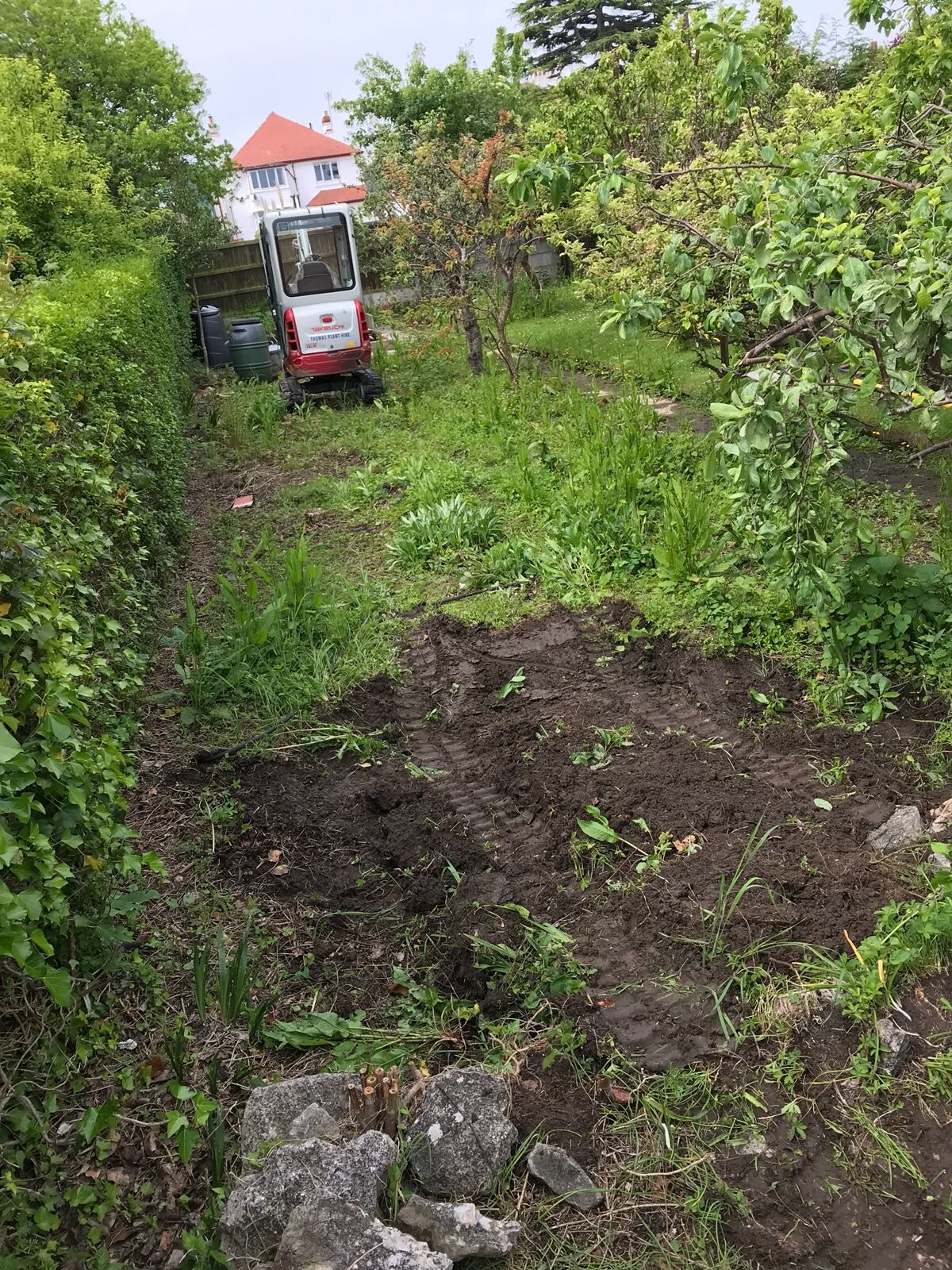 Overgrown garden before work began